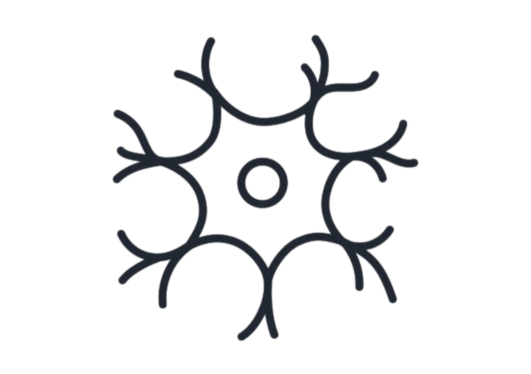 Supports Nerve health  